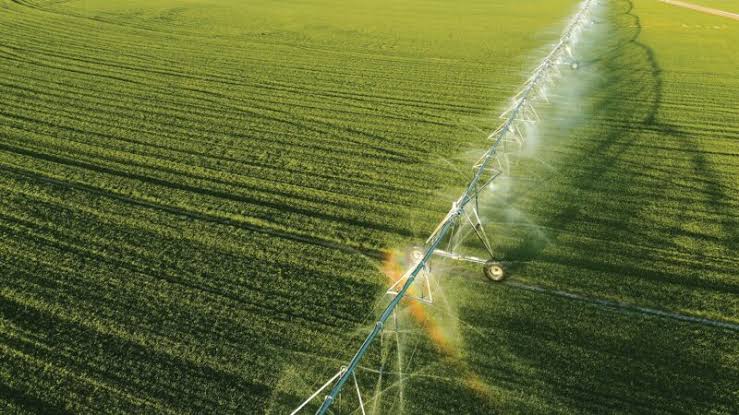 The Rise of Farming Technology in Small-Scale and Weekend Farming Farming Technology and Urban Farming Solutions